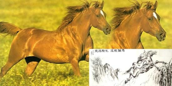 中國古代十大名馬