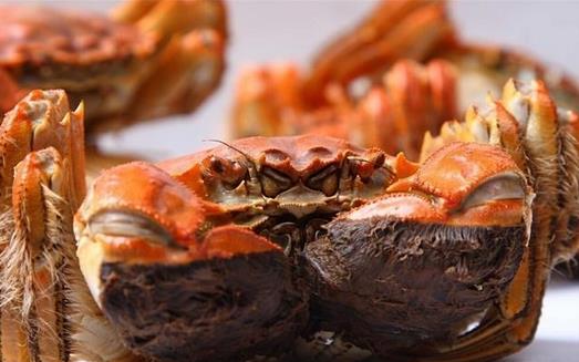 什麼人不能吃螃蟹？吃螃蟹的飲食禁忌