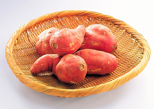 紅薯發芽了還能吃嗎？紅薯的營養價值