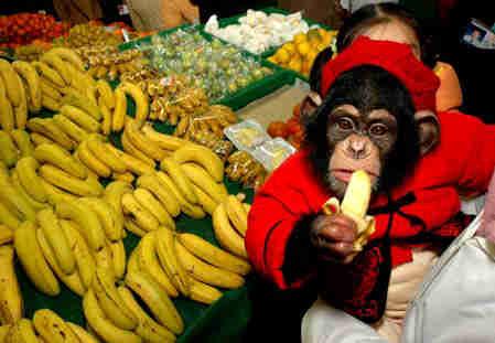 如何挑選香蕉？什麼樣的香蕉好吃