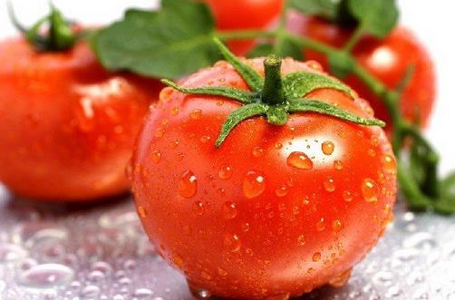 食用番茄有什麼禁忌？吃番茄的注意事項