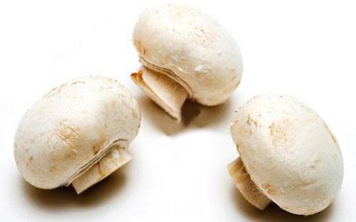 雙孢菇的營養價值 雙孢菇的做法