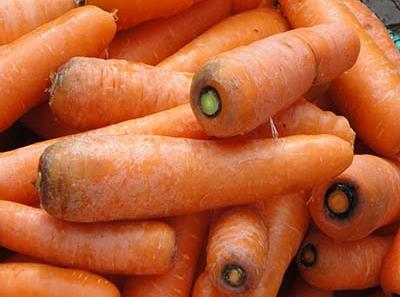哺乳期能吃胡蘿蔔嗎？哺乳期吃胡蘿蔔有什麼好處