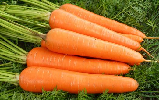 教你胡蘿蔔的健康吃法 吃得更營養