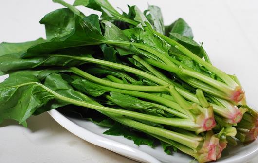 男人多吃菠菜打造健康防線