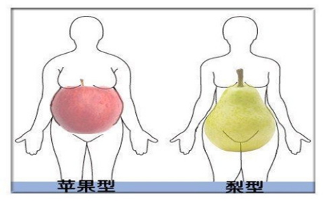 蘋果型身材