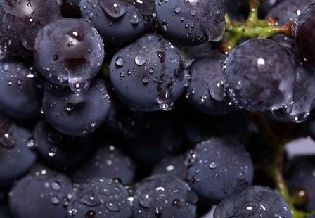 多吃葡萄有什麼好處？哪些人不適宜吃葡萄