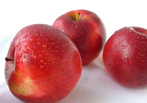 吃蘋果時別將果核吃下去-健康吃蘋果