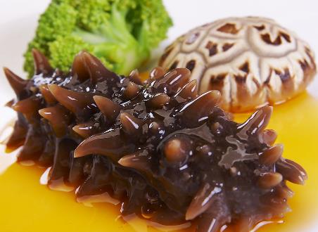 海參不能和什麼一起吃？海參的5大食用禁忌