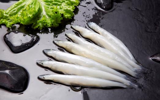 銀魚的營養與功效作用-銀魚的適宜人群