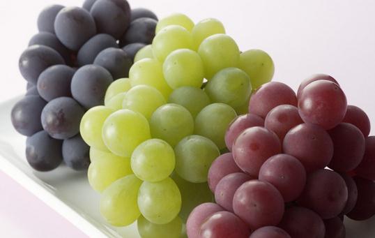 不同顏色的葡萄都有什麼功效？