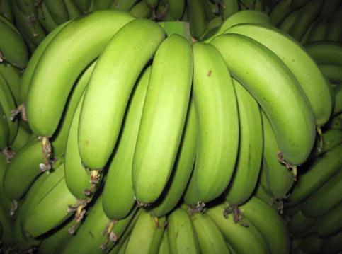怎樣識別催熟香蕉？鑒別催熟香蕉的方法