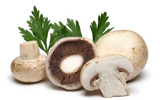 如何挑選出新鮮的蘑菇