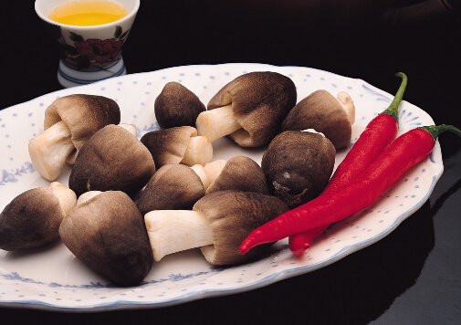 產婦宜多吃蘑菇-吃蘑菇的方法
