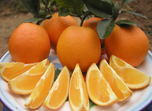 吃柑橘喝紅茶可以防卵巢癌