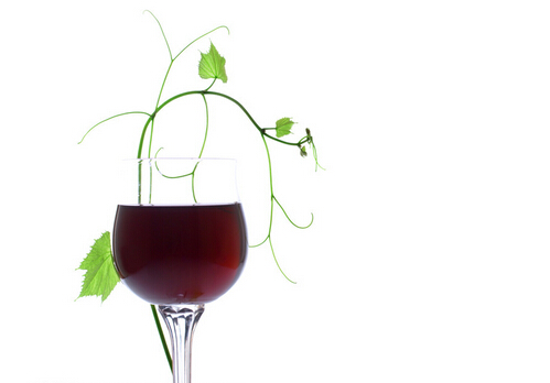 適度飲用葡萄酒可以預防慢性腎病