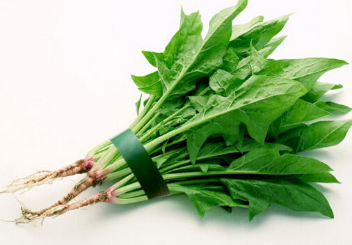 吃菠菜可降低結腸癌風險-菠菜的作用