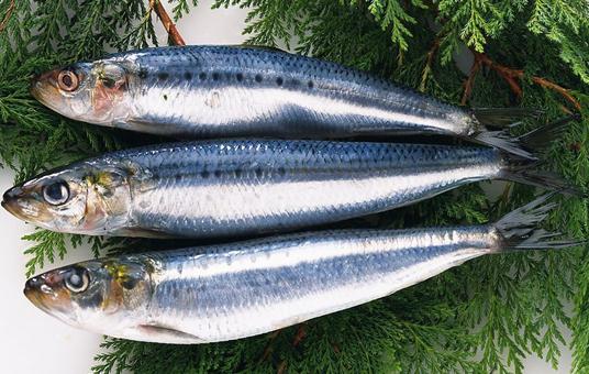 青魚的營養價值-青魚怎麼做好吃