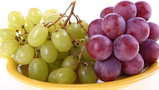 葡萄的功效與作用 葡萄的18種食療處方