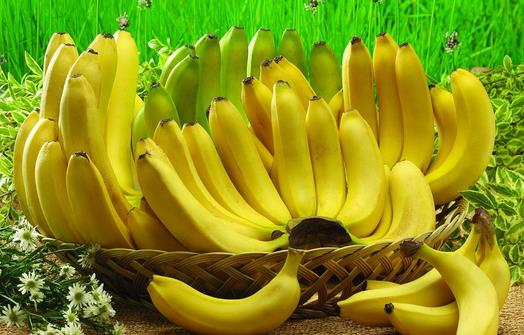 香蕉有什麼營養價值？怎樣保存香蕉不變黑？