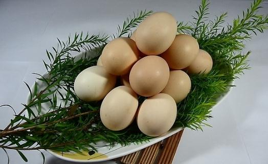 雞蛋的吃法大全：海帶苡仁蛋湯的做法