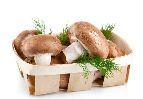 香菇萃取物可以預防宮頸癌