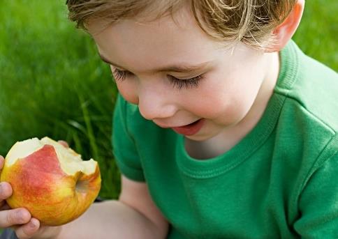 寶寶能吃蘋果嗎？寶寶吃蘋果的做法