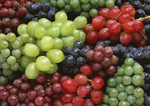 提子與葡萄的區別_提子與葡萄的營養價值