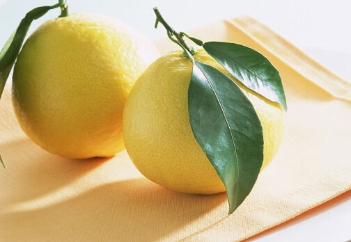 柚子能減肥嗎？柚子的營養與功效