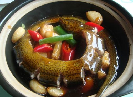 黃鱔的營養價值-吃鱔魚的好處