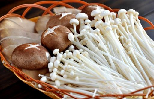 7種蘑菇的家常烹飪竅門