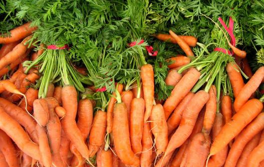 吃胡蘿蔔有什麼好處？有利健康長壽