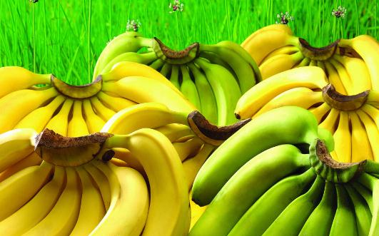 有腎病的人可以吃香蕉嗎？腎病患者吃什麼？