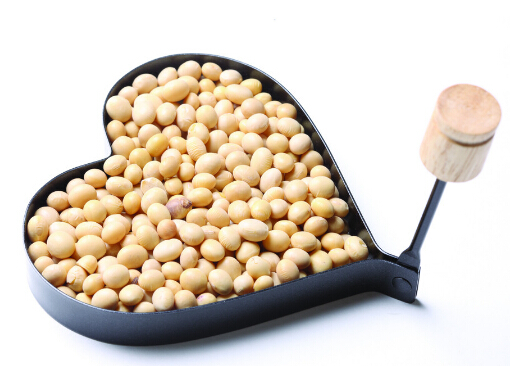 吃大豆易引發痤瘡-吃什麼會促生痘痘？