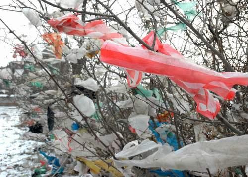 塑料袋對人類健康和環境有怎樣的危害