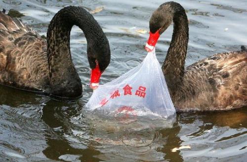 亂扔塑料袋對環境有什麼危害
